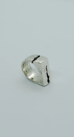 Anillo Sismo en internet