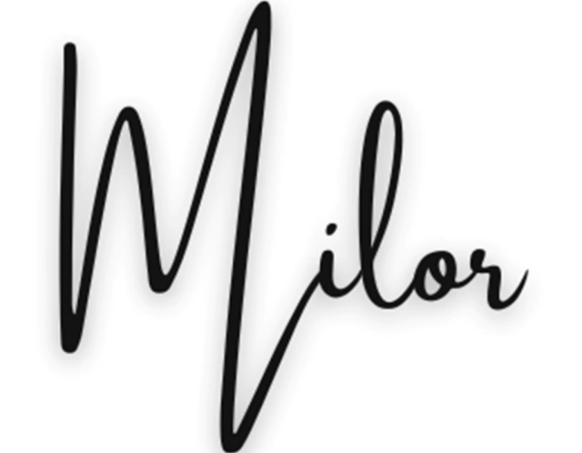 Milor: Papelaria, Escritório, Informática, Brinquedos e Diversos