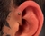 Labret básico