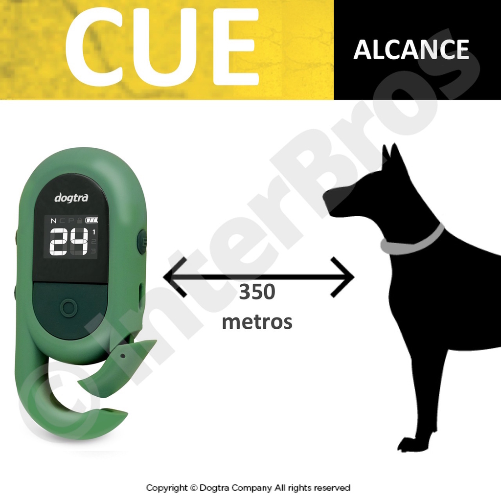 Dogtra CUE E-Collar Cores Amarelo e Preto Sistema de Treinamento Eletrônico à prova d'água para cães pequenos, médios e grandes 2 Cães - comprar online