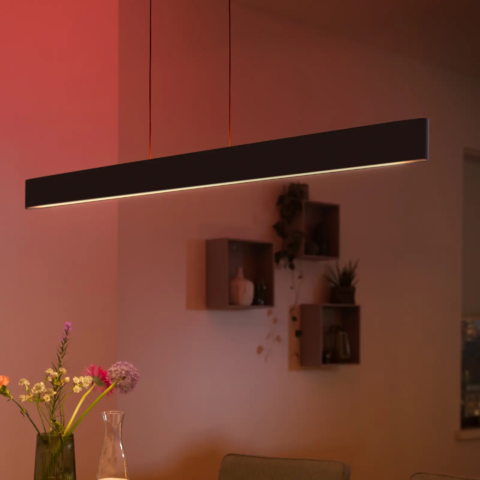 Philips Hue White & Color Ambiance Ensis Pendant Light , Luminária Pendente Inteligente , Bluetooth e WiFi - comprar online