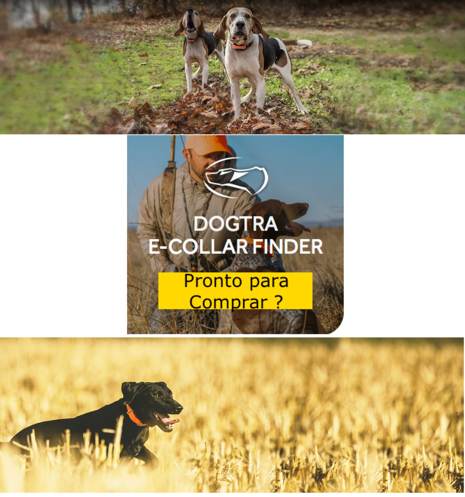 Dogtra Pathfinder SE 2 Cães | E-Collar Series GPS Rastrear e Treinar | Cães Acima de 15 Kgs | Pescoços Acima de 30 cms | Alcance de até 14,5 Kms | Expansível para até 21 cães | A prova d'água | Taxa de GPS de Atualização de 2 segundos | Requer Smartphone | Sem taxa de assinatura | Mapa de satélite gratuito e OFFLINE | Não Requer Sinal de Celular