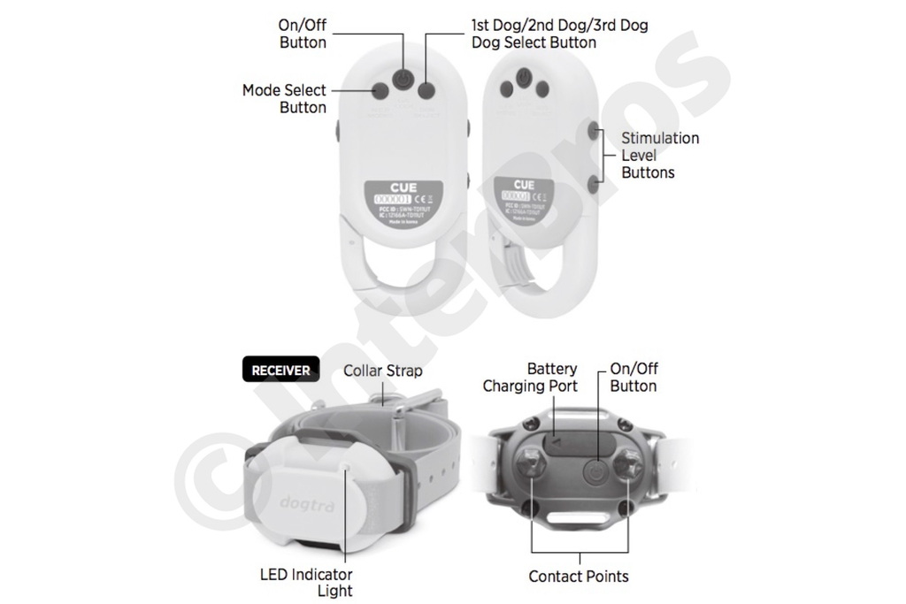 Dogtra CUE E-Collar Cores Amarelo e Preto Sistema de Treinamento Eletrônico à prova d'água para cães pequenos, médios e grandes 2 Cães - loja online