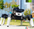 Yahboom 18DOF Muto RS ROS Robotic Kit DIY Programming Development Hexapod Robot, NVIDIA Jetson NANO 4GB B01 , 945-13450-0000-000 en internet