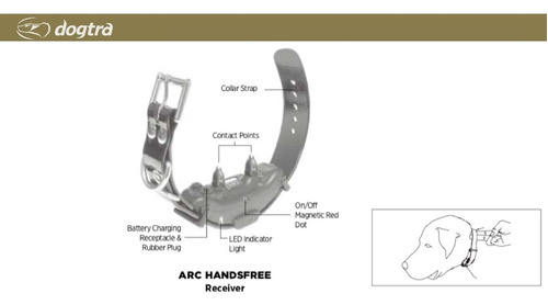Dogtra Colar ARC Receptor Adicional - Loja do Jangão - InterBros