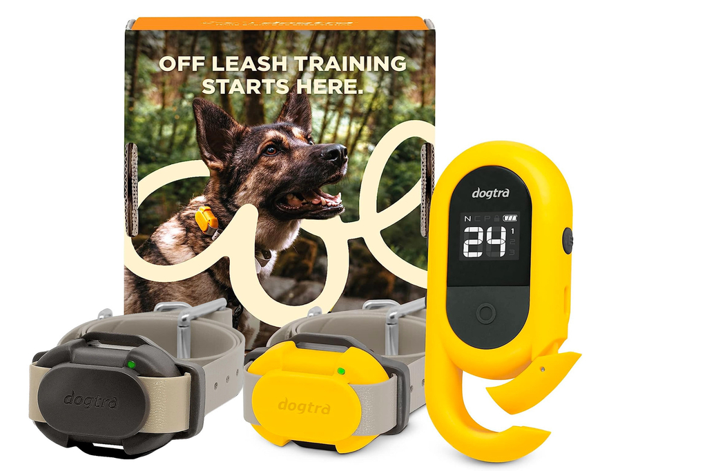 Dogtra CUE E-Collar Cores Amarelo e Preto Sistema de Treinamento Eletrônico à prova d'água para cães pequenos, médios e grandes 2 Cães