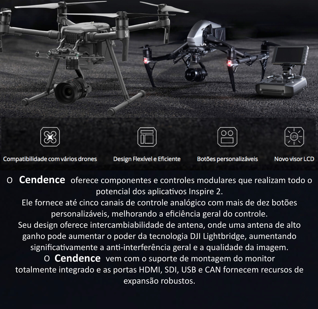 DJI CENDENCE REMOTE CONTROLLER OVERSEAS EDITION l Inspire 2 l Matrice 200 V1 Series na internet