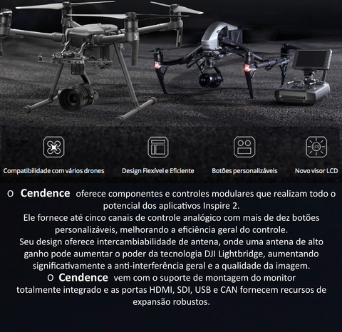 DJI CENDENCE REMOTE CONTROLLER OVERSEAS EDITION l Inspire 2 l Matrice 200 V1 Series na internet