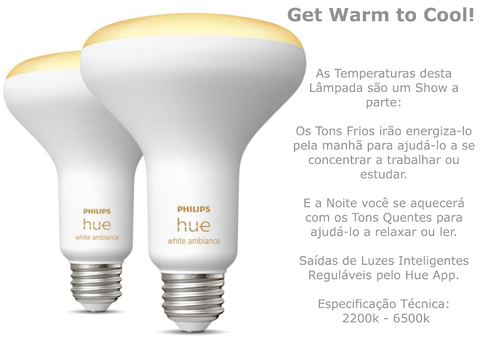 Philips Hue White Ambiance BR30 65W | 3ª Geração | Bluetooth Smart Flood Light | Lâmpada Spot de Embutir | Compatível com Alexa, Apple Homekit & Google Assistant | Funciona com Bluetooth e/ou com a Hue Bridge l Kit2 - Loja do Jangão - InterBros