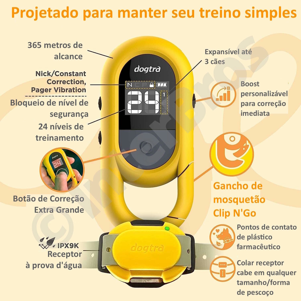 Dogtra CUE E-Collar Cores Verde e Preto Sistema de Treinamento Eletrônico à prova d'água para cães pequenos, médios e grandes 2 Cães - Loja do Jangão - InterBros