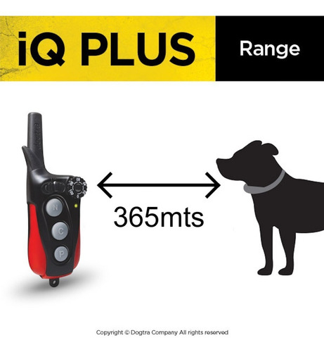 Dogtra IQ Plus Expansível para 2 Cães | Cães Acima de 4,5 Kgs | Sistema de Estímulo Médio | Sistema com Colar Ergonômico de Treinamento Remoto | Alcance de até 365 metros | A Prova D' Água on internet