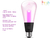 Philips Hue Lightguide ST70 Edison Smart LED Bulb , Bluetooth , WiFi - online store