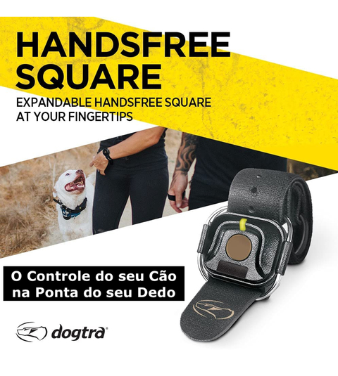 Novo Dogtra 1902S ARC HANDSFREE PLUS | Cães Acima de 16 Kgs | Sistema de ALTO ESTÍMULO para 2 Cães | Sistema com Colar Ergonômico de Treinamento Remoto | Alcance de até 1,2 Kms | A Prova D' Água | Com o Sistema HandsFree Preciso, Intuitivo e Discreto - Loja do Jangão - InterBros