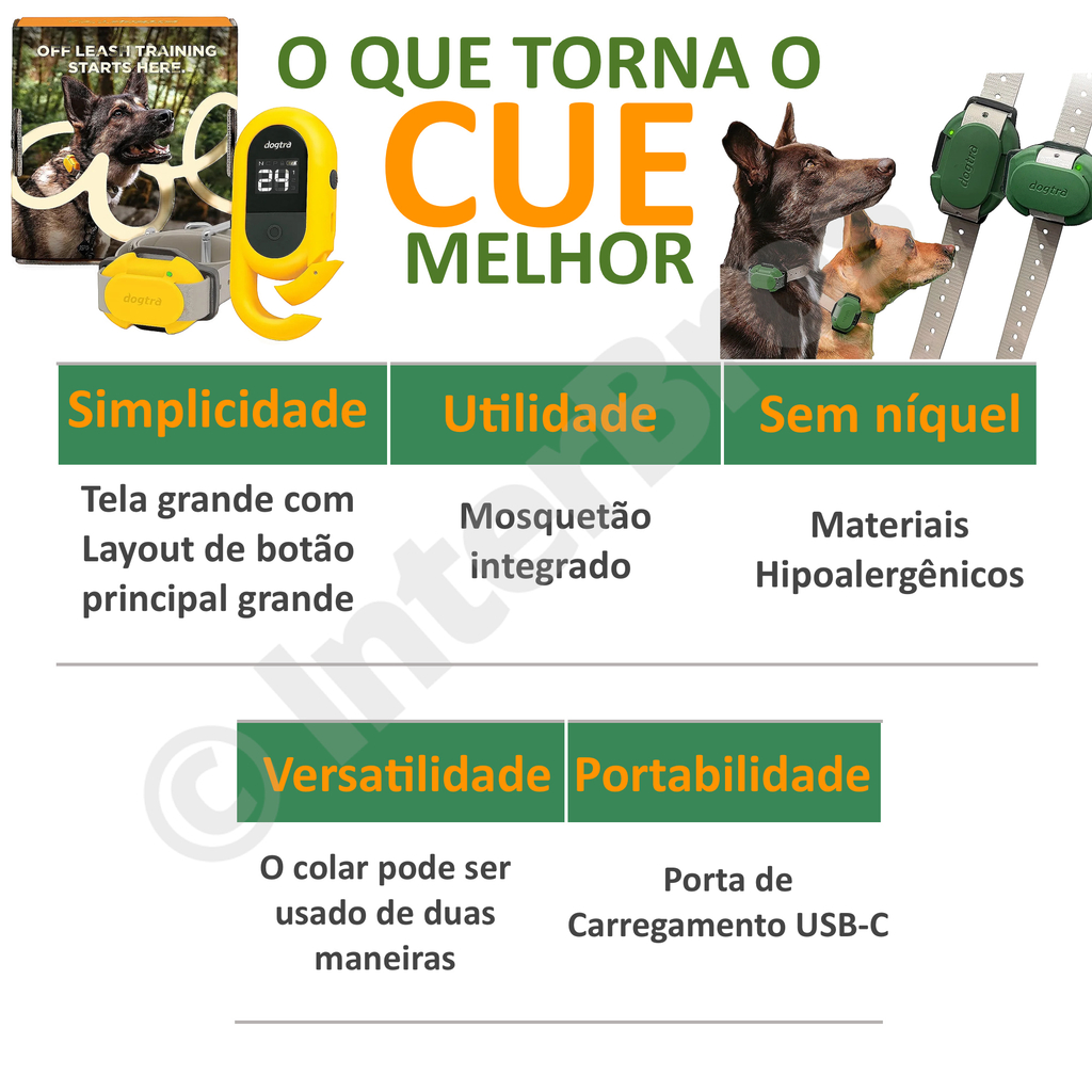 Imagem do Dogtra CUE E-Collar Cores Verde e Preto Sistema de Treinamento Eletrônico à prova d'água para cães pequenos, médios e grandes 2 Cães