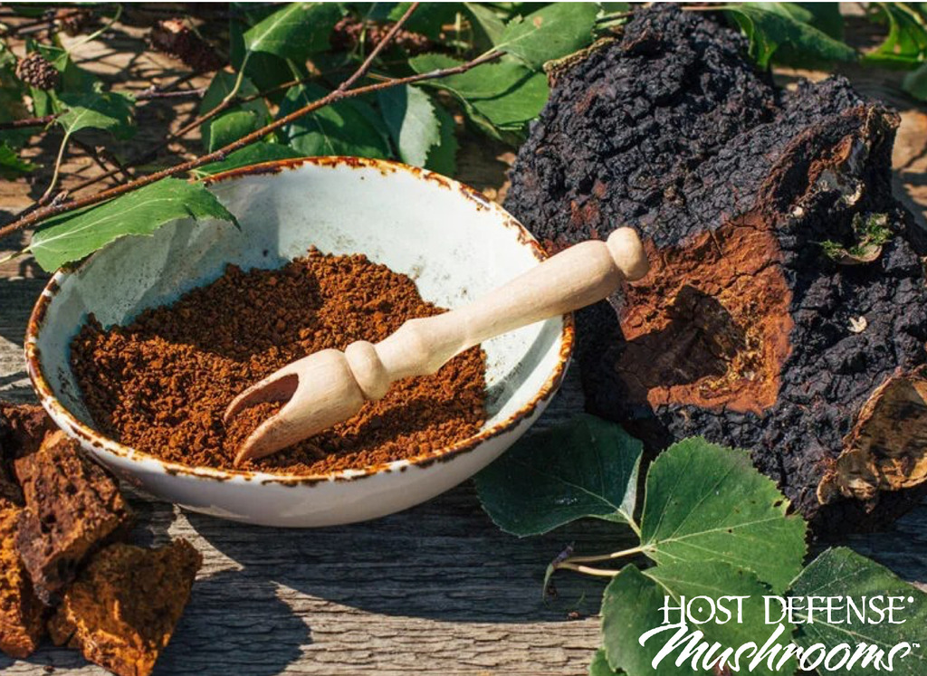 Host Defense Cogumelo Chaga Antioxidante e Suporte de DNA 120 cápsulas