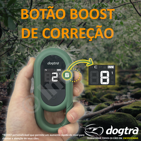 Dogtra CUE E-Collar Cores Amarelo e Preto Sistema de Treinamento Eletrônico à prova d'água para cães pequenos, médios e grandes 2 Cães