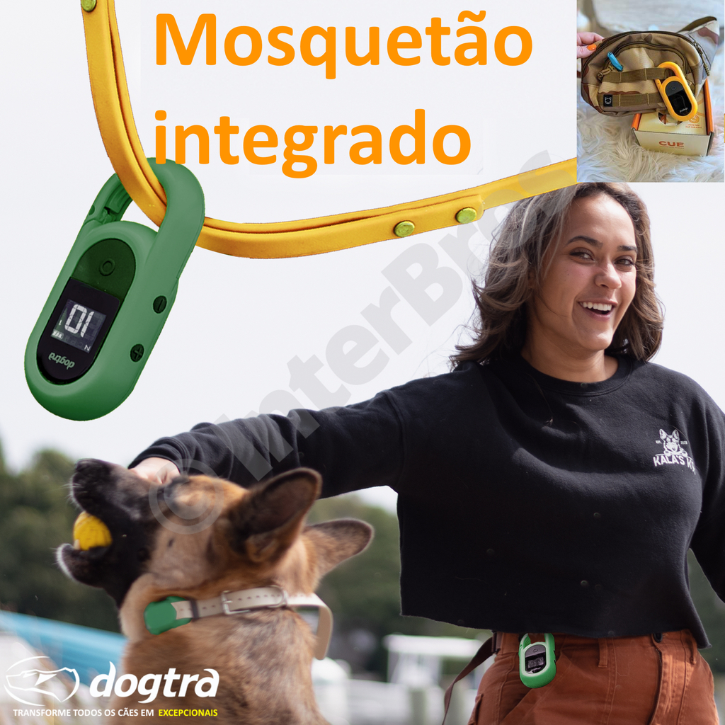 Dogtra CUE E-Collar Cores Amarelo e Preto Sistema de Treinamento Eletrônico à prova d'água para cães pequenos, médios e grandes 2 Cães - comprar online