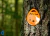 Imagem do Kestrel Link 5400 PRO WBGT Heat Stress Tracker Bluetooth + Drop D3FW Data Logger
