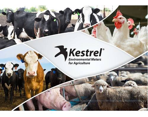 Kestrel 5400AG Rastreador Estresse Térmico Bluetooth + DROP D2AG WBGT en internet