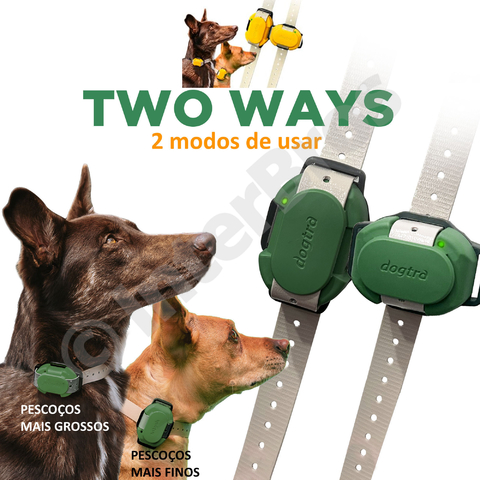 Dogtra CUE E-Collar Cores Verde e Preto Sistema de Treinamento Eletrônico à prova d'água para cães pequenos, médios e grandes 2 Cães na internet