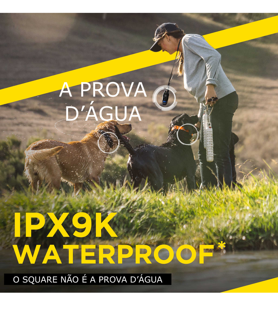 Novo Dogtra ARC HANDSFREE PLUS | Cães Acima de 16 Kgs | Expansível até 2 Cães | Sistema com Colar Ergonômico de Treinamento Remoto | Alcance de até 1,2 Kms | A Prova D' Água | Com o Sistema HandsFree Preciso, Intuitivo e Discreto