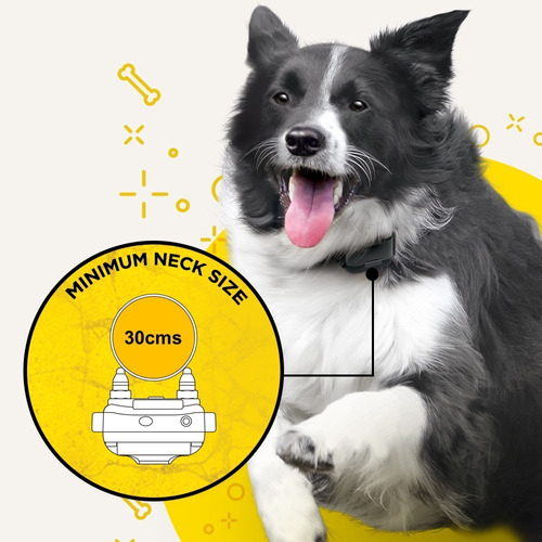 Dogtra IQ Plus Expansível para 2 Cães | Cães Acima de 4,5 Kgs | Sistema de Estímulo Médio | Sistema com Colar Ergonômico de Treinamento Remoto | Alcance de até 365 metros | A Prova D' Água - online store