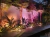Philips Hue Amarant l Outdoor Light Bar l LED Wall Floodlight l Luminária Inteligente Outdoor de Piso l Alto Fluxo Luminoso de até 2.800 lumen l LED Integrado l Com Fonte de Energia de 40W l Compatível com Alexa, Apple Homekit & Google Assistant l Requer Hue Bridge na internet