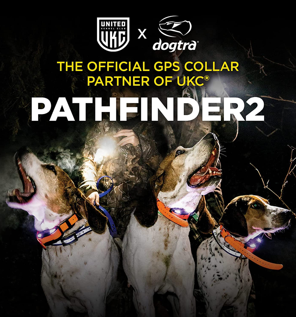 Dogtra Pathfinder 2 Colar GPS Luminoso Adicional | E-Collar Series GPS Rastrear e Treinar | Cães Acima de 15 Kgs | Pescoços Acima de 30 cms | Alcance de até 14,5 Kms | Expansível para até 21 cães | A prova d'água | - loja online