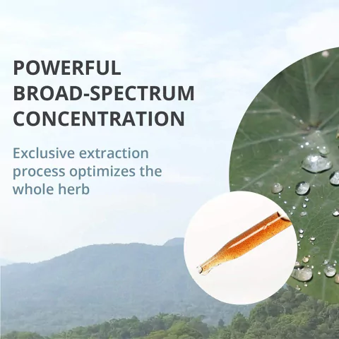 Nutramedix Samento Unha Gato Suplemento Imunológico 60ml na internet