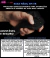 HTC VIVE Pro 2 VR Headset + VIVE Bases Stations + VALVE Index Controllers