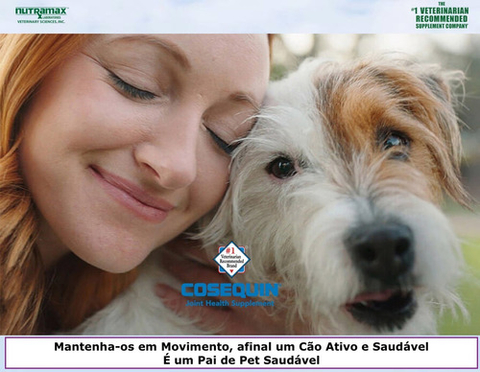 Cosequin Ds Plus Msm Cães 132 Tabletes Mastigáveis - loja online