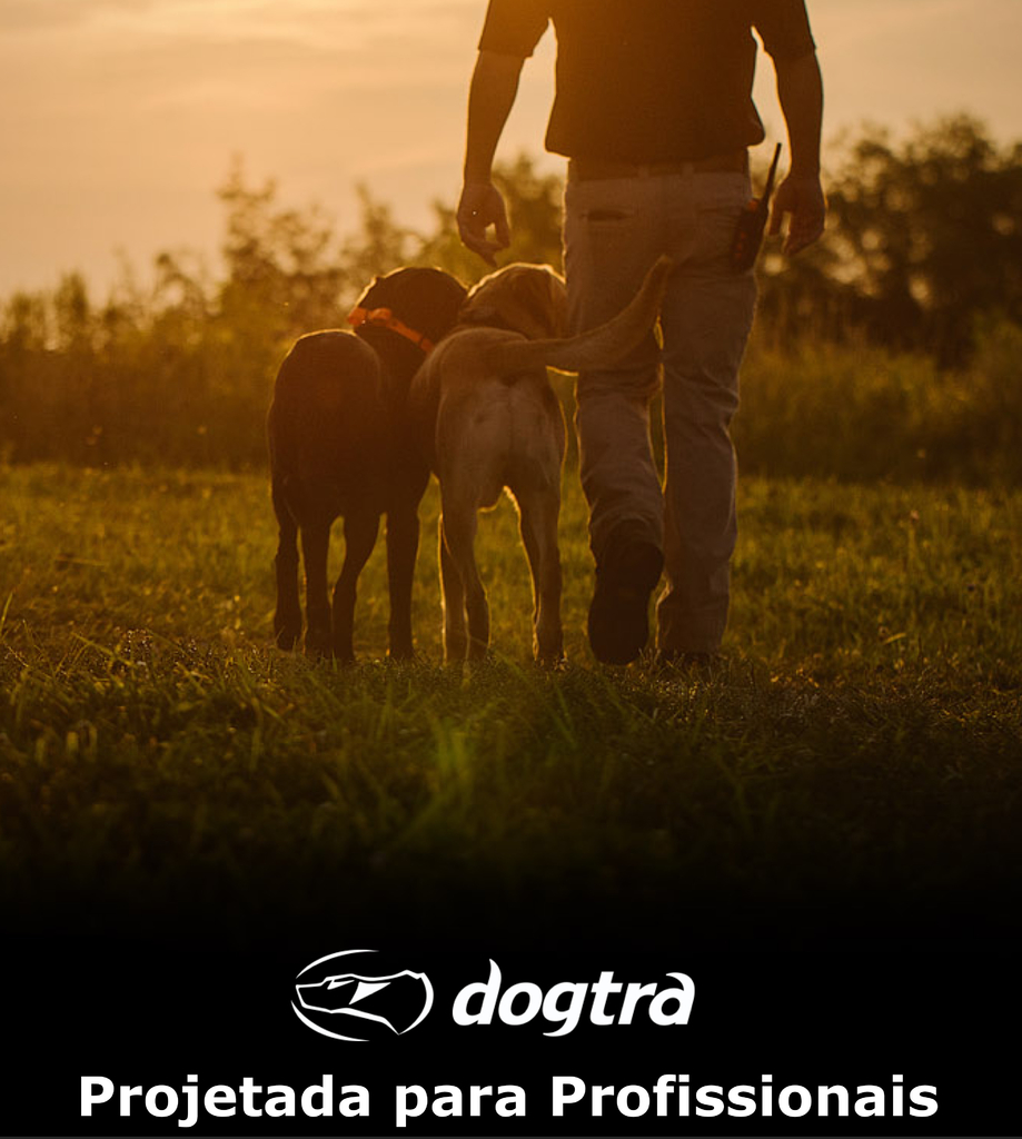 Dogtra Pathfinder SE 2 Cães | E-Collar Series GPS Rastrear e Treinar | Cães Acima de 15 Kgs | Pescoços Acima de 30 cms | Alcance de até 14,5 Kms | Expansível para até 21 cães | A prova d'água | Taxa de GPS de Atualização de 2 segundos | Requer Smartphone | Sem taxa de assinatura | Mapa de satélite gratuito e OFFLINE | Não Requer Sinal de Celular na internet