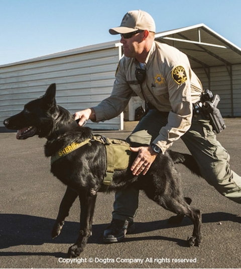 Dogtra 3502X com Case de Transporte , Para 2 Cães, Projetada para Profissionais e Tutores de Nível Avançado ,Treinamento para Competição ,Caça , Operação Tática de k-9 , Alcance de 2,4 Kms - Loja do Jangão - InterBros