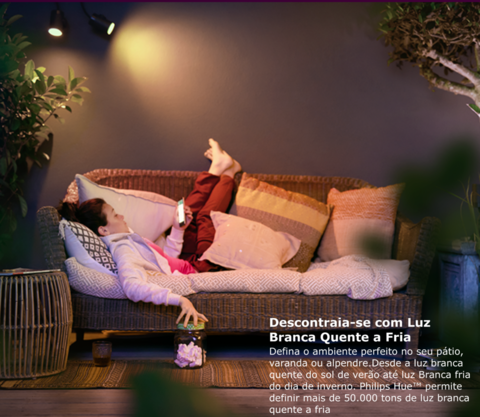 Philips Hue White & Color Ambiance Appear Outdoor Wall | + Philips Hue Dusk-to-Dawn Sensor de Movimento | Luminária Arandela de Parede | Compatível com Alexa, Apple Homekit & Google Assistant | Requer Hue Bridge | Kit2 - buy online