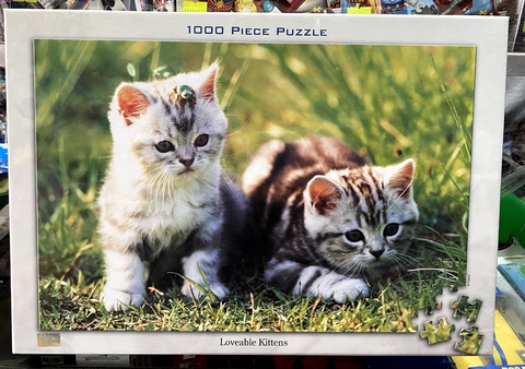Puzzle 1000 piezas