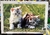 Puzzle 1000 piezas