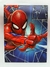 Cuaderno Spiderman Tapa Dura