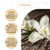Vela aromática - Brilho no olhar - loja online
