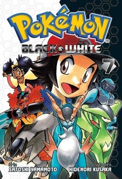 POKÉMON BLACK & WHITE N°: 07