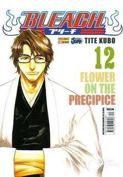 BLEACH N°: 12