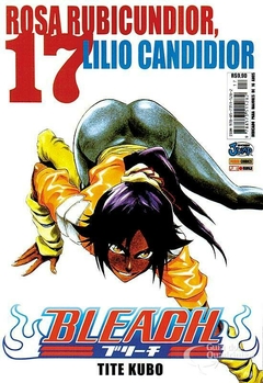 BLEACH N°: 17