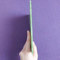 QUADRIBOL ATRAVÉS DOS SÉCULOS - KENNILWORTHY WHISP - HARRY POTTER - ROCCO on internet