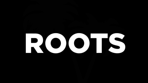 Roots Modas