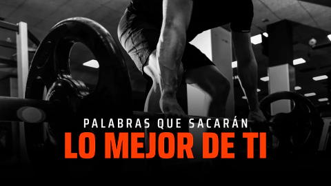 Video de Loboguerreros