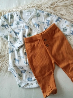Conjunto Patagonia