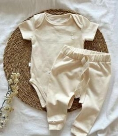 Body Básicos