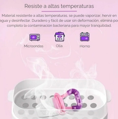Chupete de Fruta en internet