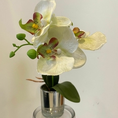ORQUIDIA DECO - Rumar