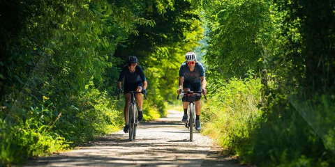 Imagen del carrusel 1