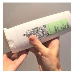 Shampoo Cabelos Normais ou Oleosos Lippia Alba na internet